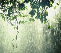Ruhani Malhaar [Spiritual Rain]