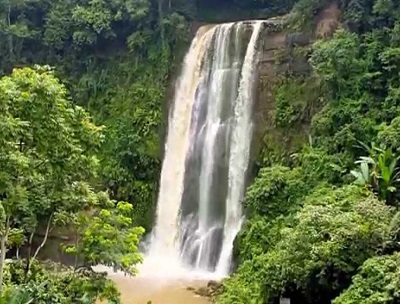 Natural Nature नैचरल नेचर