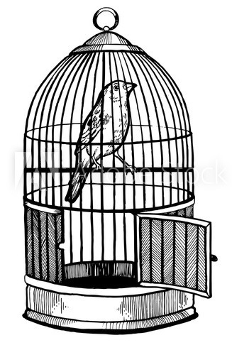 The Spiritual Jailbird रूहानी जेलबर्ड