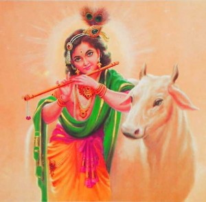 Tum Dhundo Mujhe Gopal तुम ढूंढो मुझे गोपाल