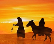 Return Journey